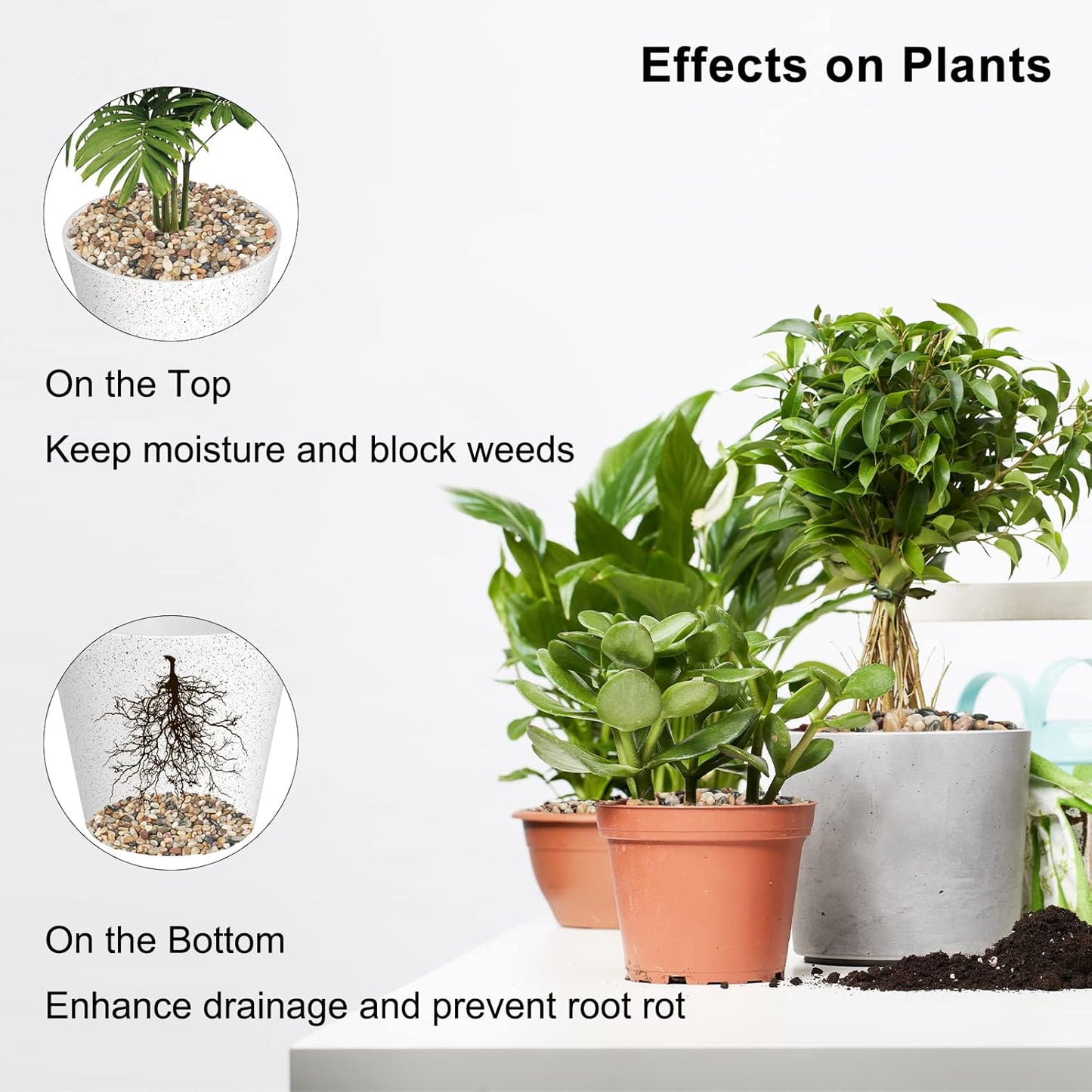 GASPRO 2.5 Pound Pebbles for Indoor Plants, 3/8 Inch Decorative Rocks for Vase, Succulents, Highly Polished, Mixed Color