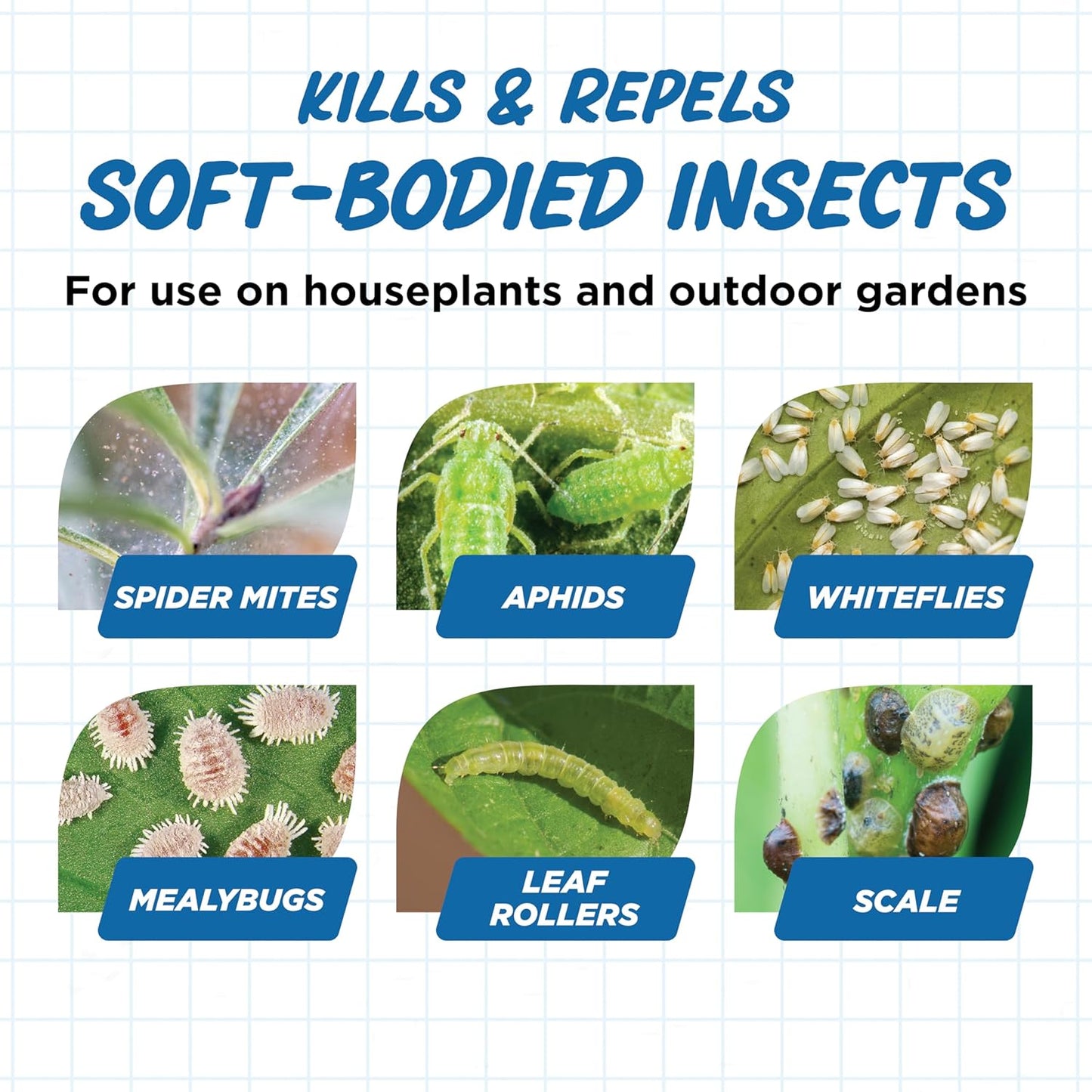 Earth's Ally Insect Control for Plants Ready-to-Use 24 oz | Safe Outdoor & Indoor Plant Insecticide, Spider Mite, Aphid & Mealybug Killer - Effective Spray for Organic Garden & Household Plants