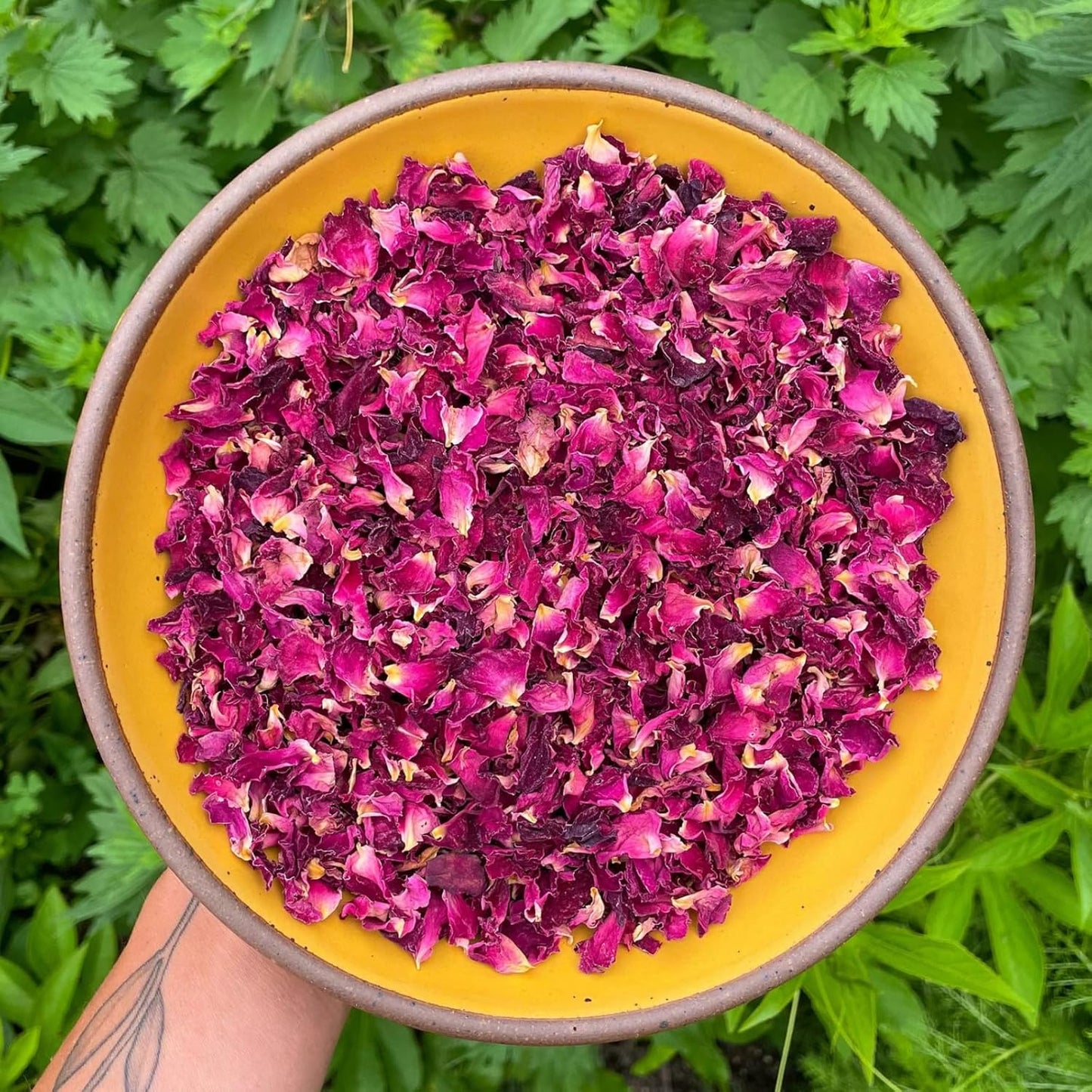 Fangkic Dried Rose Petals-1oz(28g) Dried Edible Flower Cake Decoration, Edible Rose Petal for Cocktails Drinks Baking Tea Soap & Candle Making, Gluten-Free, No Additives